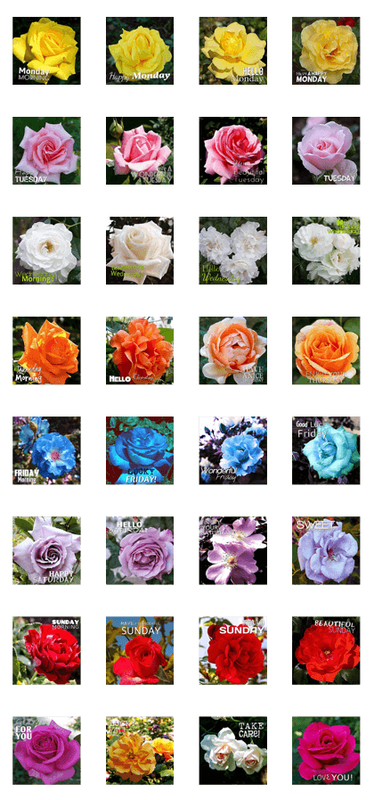 Color of Roses