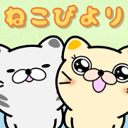 Today nationally cat day
