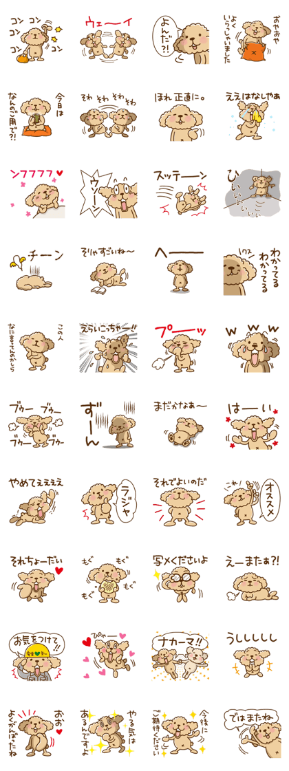 Putaro the Poodle 9