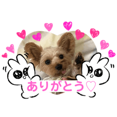 risa_20201124192646
