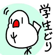 student child Java sparrow