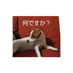 peco_20201124192919pjm