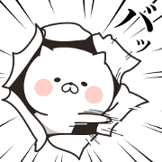 The cat which appears