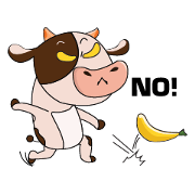Busy Day of a Lovely Dairy Cow