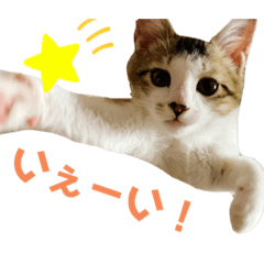 suzu_20201124205123