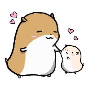 Communication hamster