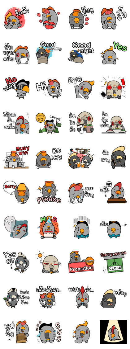 Hornbill Cute Team2