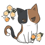 our lovely cat2
