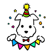 A cute little white dog