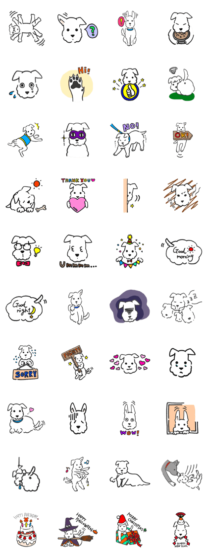 A cute little white dog