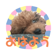 LianPapa_20201124235249
