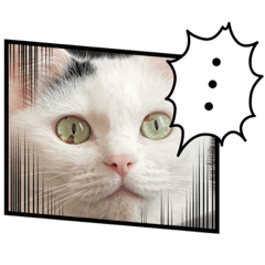 Arisa_20201125003401