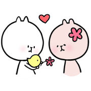 shiromaru rabbit3