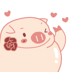 My Cute Lovely Pig in Confusion