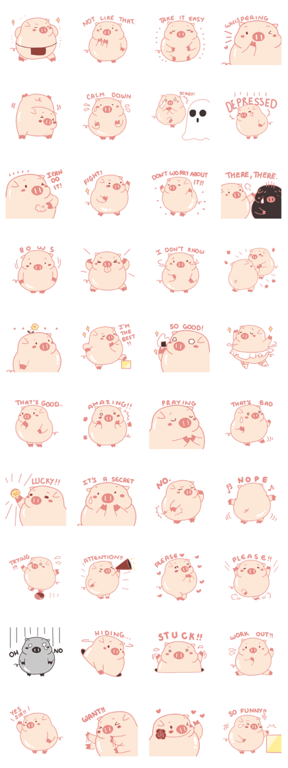My Cute Lovely Pig in Confusion