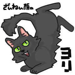 Black cat's "Yori"