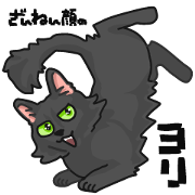 Black cat's "Yori"