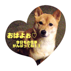 MIYUU_20201125042913