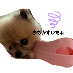 saori_20201125093506