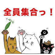 GIRINEKO WORKS