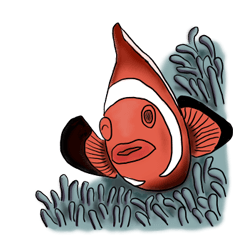 aqua fish