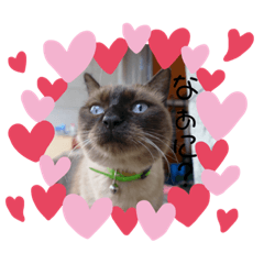 mizuki_20201124221256