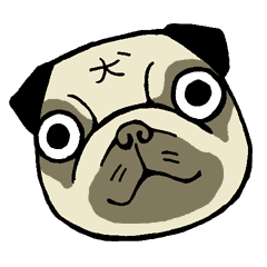 an ugly but cute pug