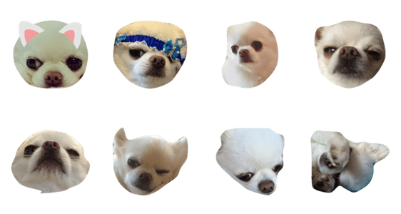 さびしいお顔のチワワくん Lineクリエイターズスタンプ Stamplist