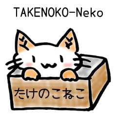 TAKENOKO-Neko