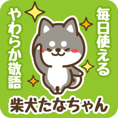 Petit Black Shiba Tanachan (Honorific)