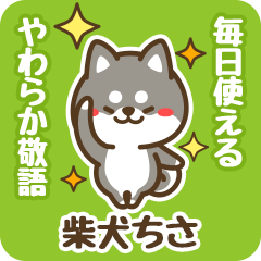 Petit Black Shiba Chisa (Honorific)