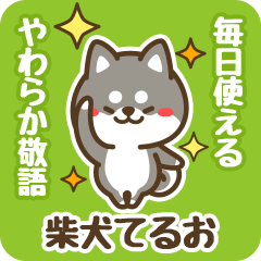 Petit Black Shiba Teruo (Honorific)