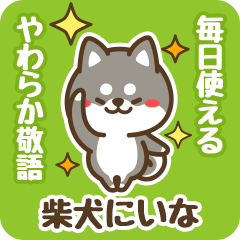 Petit Black Shiba Niina (Honorific)