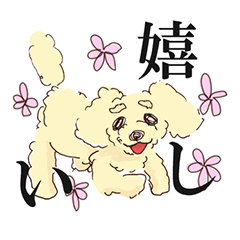 poodle&Black Cats