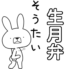 BIG Dialect rabbit[ikitsuki]