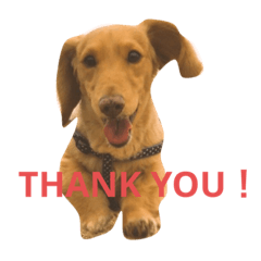 asuka_20201125225329