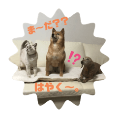 MIYUU_20201126032820