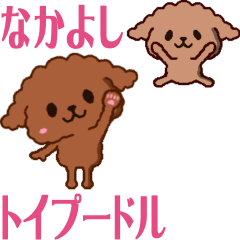 A good friend funny toy poodle