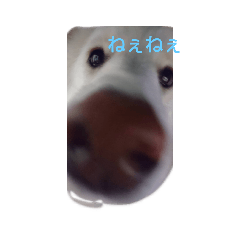 ryuki_20201125204701