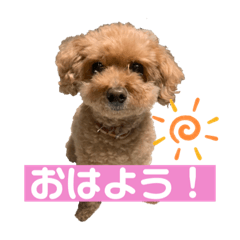 wasabi_20201125230356