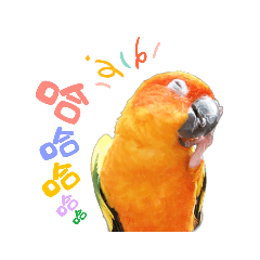 金太陽多多❤️