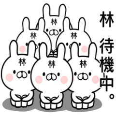 Hayashi's rabbit sticker