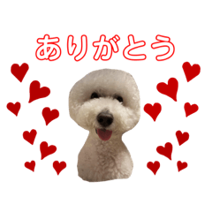 arisa_20201126110836