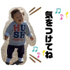 Melon_20201126121748