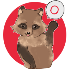 Funny Raccoon stickers