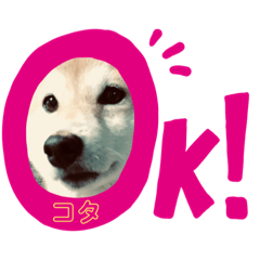 うちのコタちゃん Line スタンプ Line Store うちのコタちゃん Line スタンプ Line Store