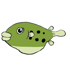 Dwarf pufferfish life
