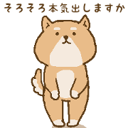 sit down Japanese style (moving)