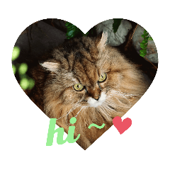 瑪索少爺 耍賴日常