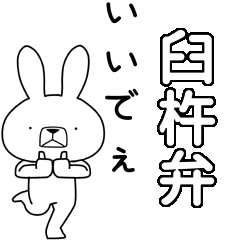 BIG Dialect rabbit[usuki]